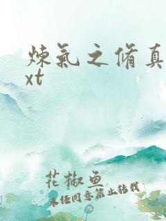 炼气之修真者txt