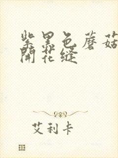 紫黑色蘑菇头顶开花缝