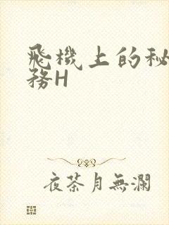 飞机上的秘密服务H