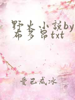 野火小说by夏布多昂txt