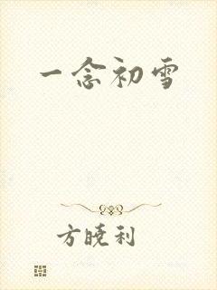 一念初雪