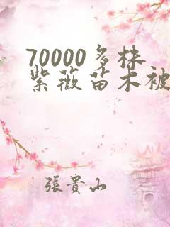 70000多株紫薇苗木被强毁