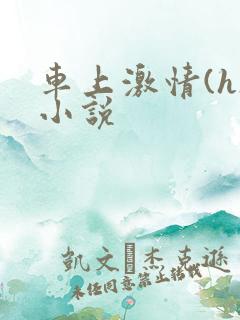 车上激情(h)小说