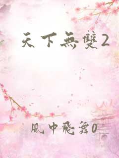 天下无双2