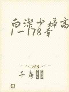 白洁少妇高义第1一178章