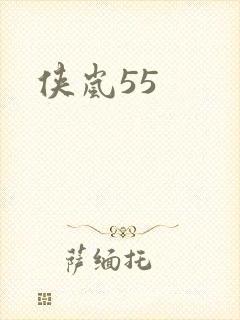 侠岚55