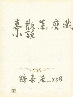 喜欢怎么藏不住小说