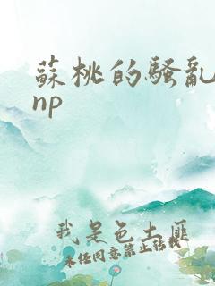 苏桃的骚乱文肉np