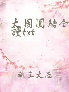 大团圆结全文阅读txt