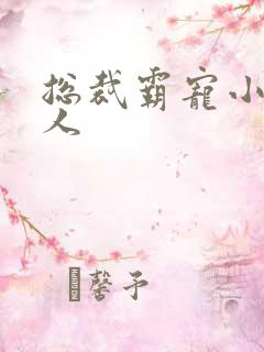 总裁霸宠小小女人