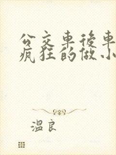 公交车后车座的疯狂的做小