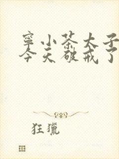 宁小茶太子殿下今天破戒了吗免费阅读