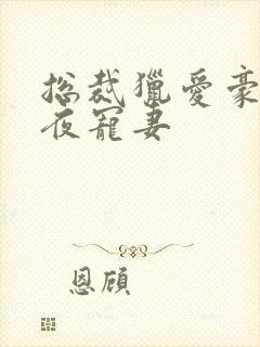 总裁猎爱豪门一夜宠妻