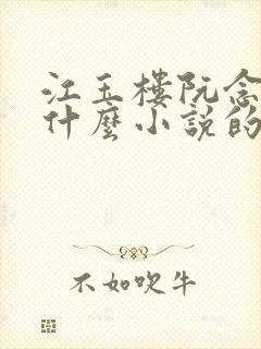 江玉楼阮念笙是什么小说的名字