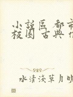 小说区 都市 校园 古典 偷拍