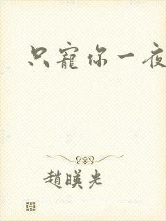 只宠你一夜