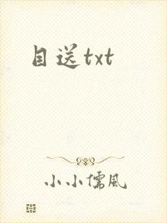 目送txt
