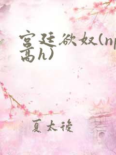 宫廷欲奴(np高h)