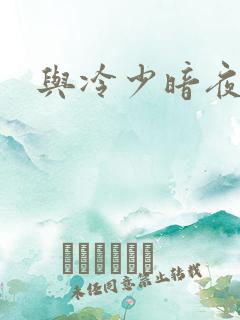 与冷少暗夜孽爱