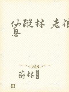 仙踪林 老狼信息