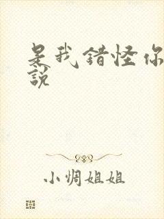 是我错怪你了小说