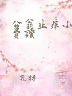 公翁止痒小说免费读