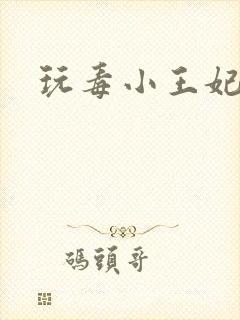 玩毒小王妃