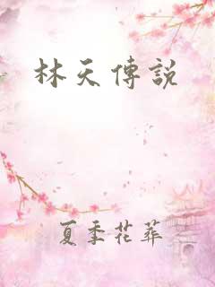 林天传说
