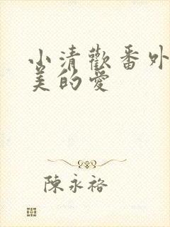 小清欢番外篇完美的爱