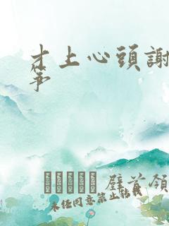 才上心头谢柳陆筝