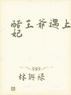 酷王爷遇上穿越妃