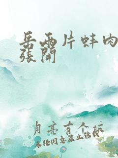 岳两片蚌肉缓缓张开