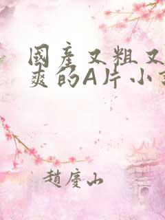 国产又粗又黄又爽的A片小说