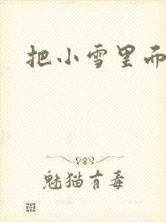 把小雪里面整满