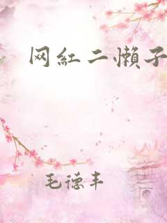 网红二懒子车祸