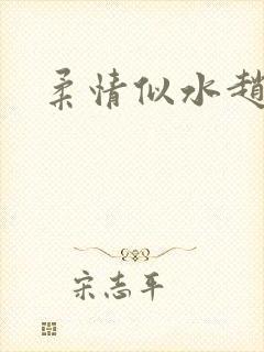 柔情似水赵雅儿