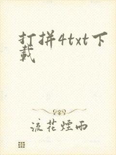 打拼4txt下载