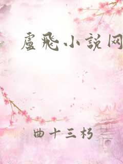 卢飞小说网