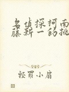 名侦探柯南给工藤新一的挑战书