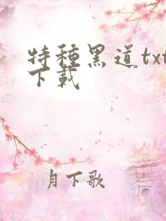 特种黑道txt下载