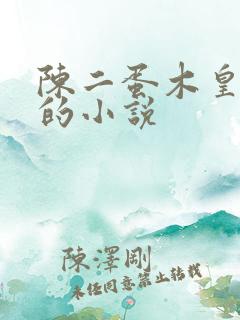 陈二蛋木皇真经的小说