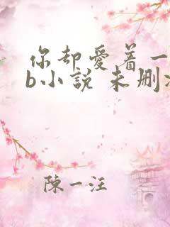 你却爱着一个sb小说 未删减完整版百度云