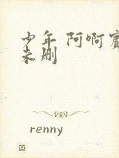 少年 阿啊宾文未删