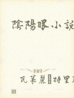阴阳眼小说