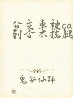 公交车被cao到合不拢腿app