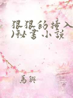 狠狠的撞入(h)秘书小说