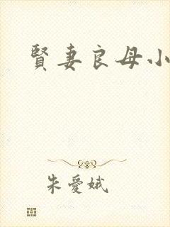 贤妻良母小说