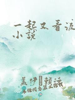 一起又看流星雨小说