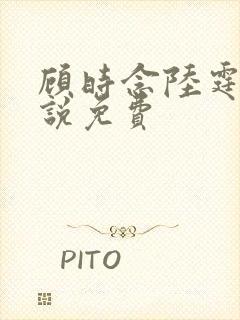 顾时念陆霆骁小说免费