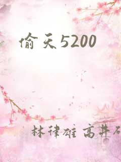 偷天5200